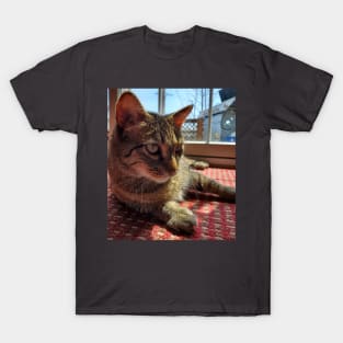 Riley the Derp King T-Shirt